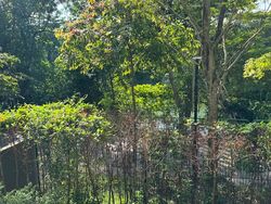 Kingsford Waterbay (D19), Apartment #561819181